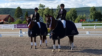 Kretsmestere i dressur